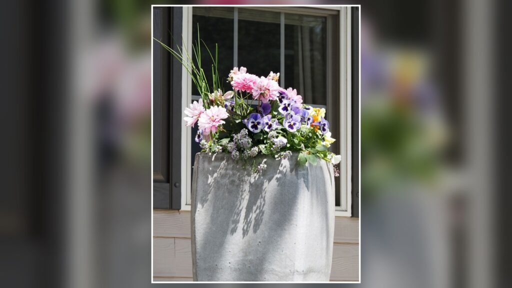 Planters